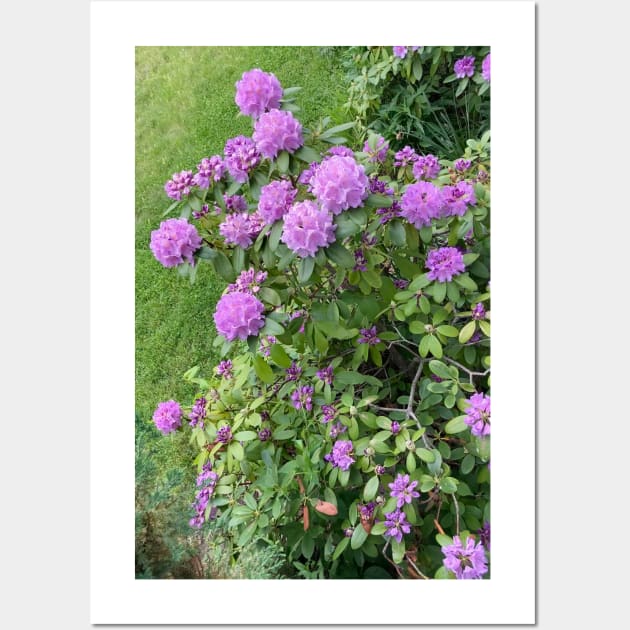 Rhododendron Bush Wall Art by Amanda1775